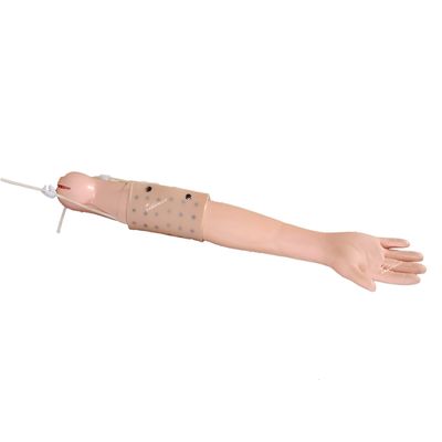 Full Arm Simulator Clinical Teaching for Intradermal Injection and Venipuncture Practice