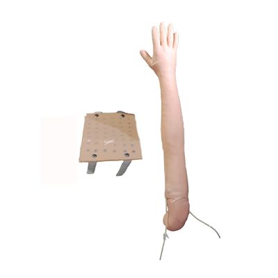 Full Arm Simulator Clinical Teaching for Intradermal Injection and Venipuncture Practice