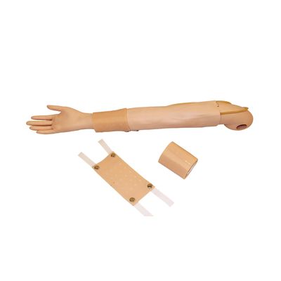 Full Arm Simulator Clinical Teaching for Intradermal Injection and Venipuncture Practice