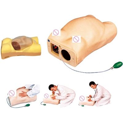 Electronic Maternity Palpation Model Manikin with Gynecological Auscultation Function