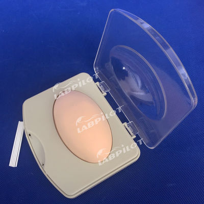 Effective Contraception Style Norplant for Obstetrical and Gynecological Skills Model