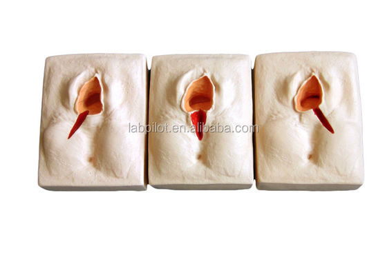 GYN Skills Teaching 3-Set Perineum Suturing Simulator and Episiotomy Wound Suturing Model