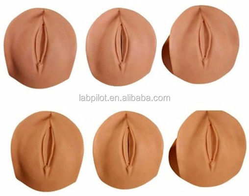 Effaced and Dilated Demonstration Cervix Model for Advanced Maternity Care Simulation