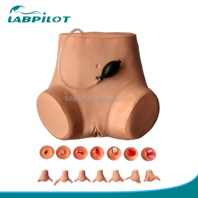 Comprehensive Gynecological Examination Training Manikin with Various Cervix and Uterus Models