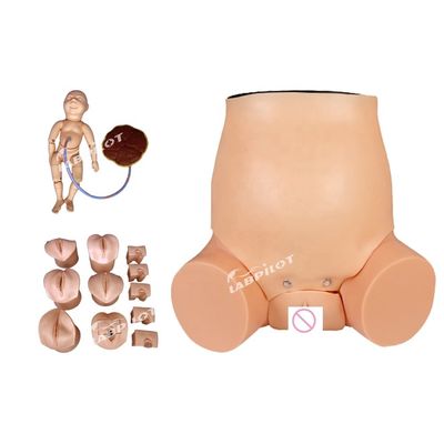 Obstetrics-Gynecology Model Pregnant Woman Care Simulator for Obstetrics Training