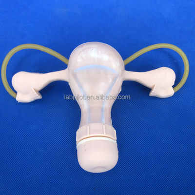 Maternity Care Training with Advanced Gynecological Nursing Model GYN Training Manikin