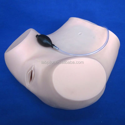 Maternity Care Training with Advanced Gynecological Nursing Model GYN Training Manikin