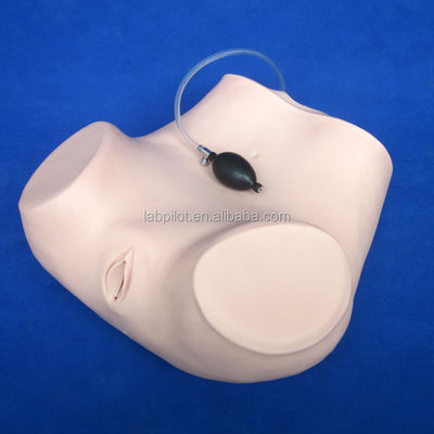 Medical Science Various Gynecological Nursing Skills Training Manikin Pelvic and Vagina Examination Model