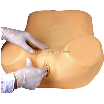 Medical Science Various Gynecological Nursing Skills Training Manikin Pelvic and Vagina Examination Model