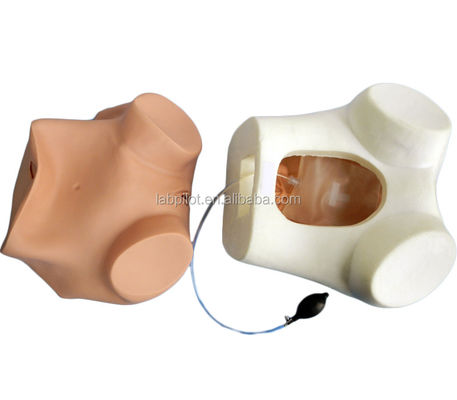 Medical Science Various Gynecological Nursing Skills Training Manikin Pelvic and Vagina Examination Model