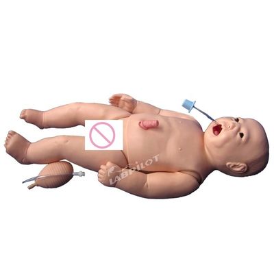 Newborn Baby Umbilical Nursing Venipuncture Intubation and CPR Training with Manikin