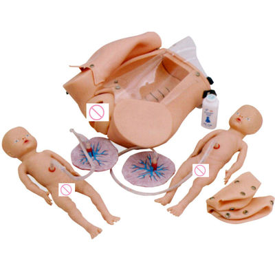 Pregnant Woman Manikin Baby Doll Midwifery Childbirth Training Model with Advanced PVC