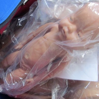 Pregnant Woman Manikin Baby Doll Midwifery Childbirth Training Model with Advanced PVC