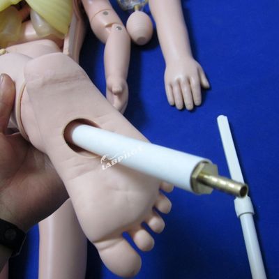 Children Care Dummy Advanced PVC 3-Year-Old Nursing Manikin for Pediatric Training