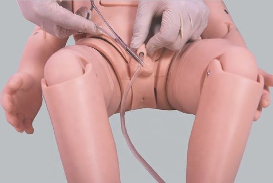 Children Care Dummy Advanced PVC 3-Year-Old Nursing Manikin for Pediatric Training