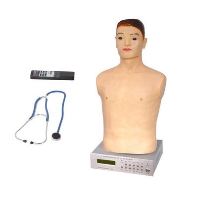 Half Body Manikin for Physical Examination Teaching in Women-Children Special Hospital