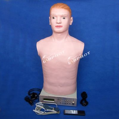 Half Body Manikin for Physical Examination Teaching in Women-Children Special Hospital