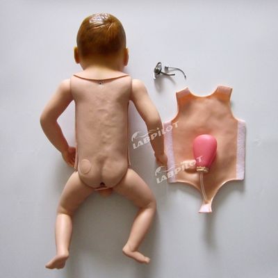 Pediatric Infant Tracheostomy Nursing Care Manikin Model for Realistic Simulation