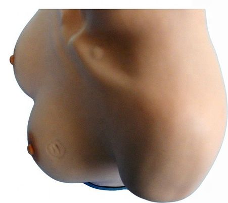 Gynecological Skills Teaching Manikin for Breast Inspection and Palpation Simulator
