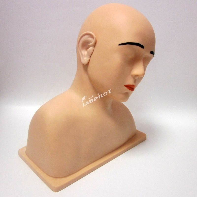 Human Life Size Vivid Ear Model The Ultimate Tool for Ear Irrigation Training Simulator