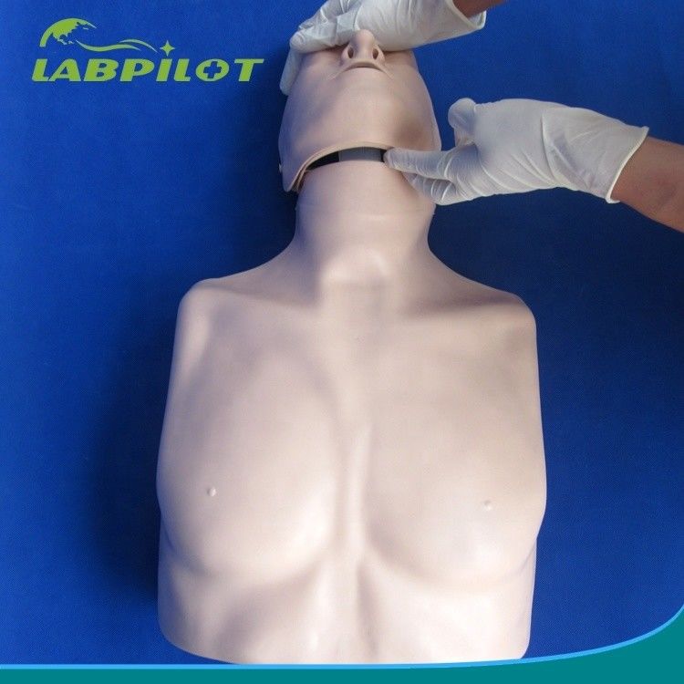 Simple Type First Aid Half Body CPR Training Manikin for School Training Facility