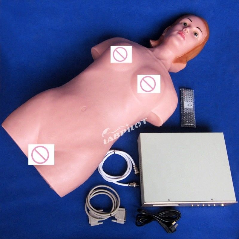 Abdominal Palpation Simulator for Nursing Education and Realistic Human Simulation