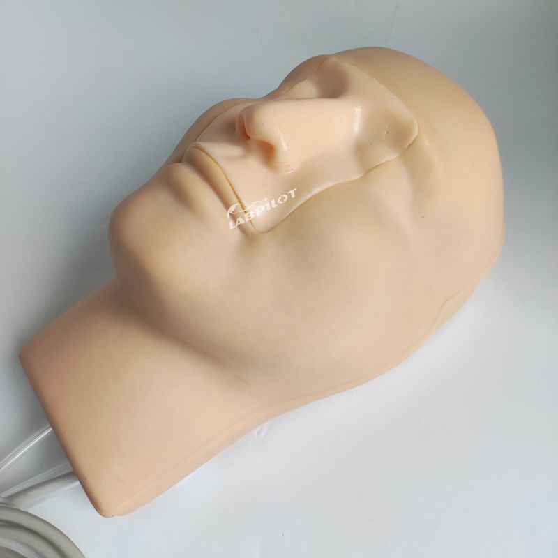 Vivid Head and Neck Model Nasal Hemorrhage Simulator for Patients Care Demonstration