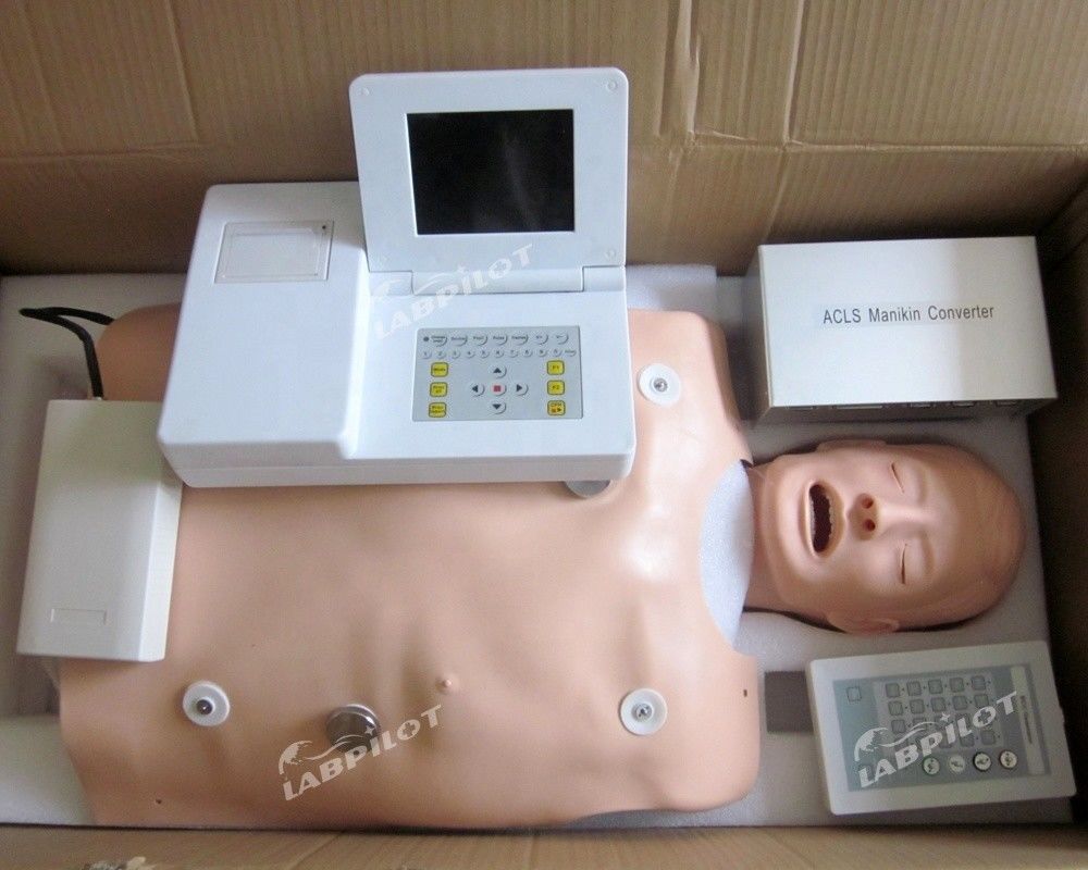 PVC Manikin for Medical Training in Categories of ACLS and IV Intubation Model