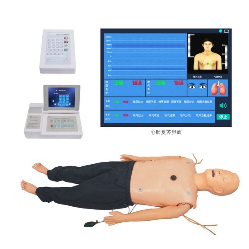 Advanced Life Support Manikin for Comprehensive Emergency Skills and ECG Teaching Item