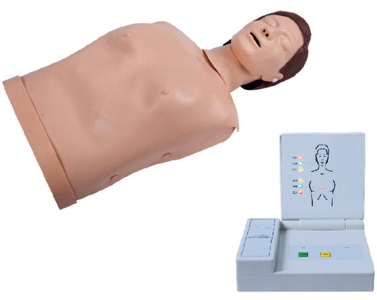 Advanced PVC Computerized Adult CPR Training Manikin Emergency Teaching Dummy for Medical Science