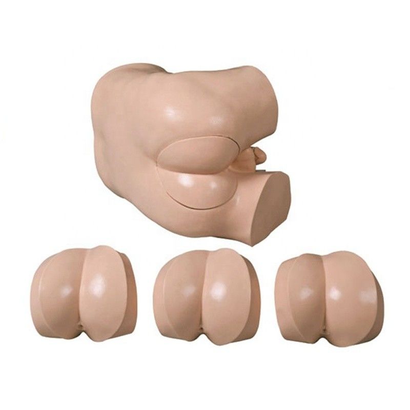 Advanced DRE Nursing Training Simulator Clinical Skills Model for Rectal Touch Examination