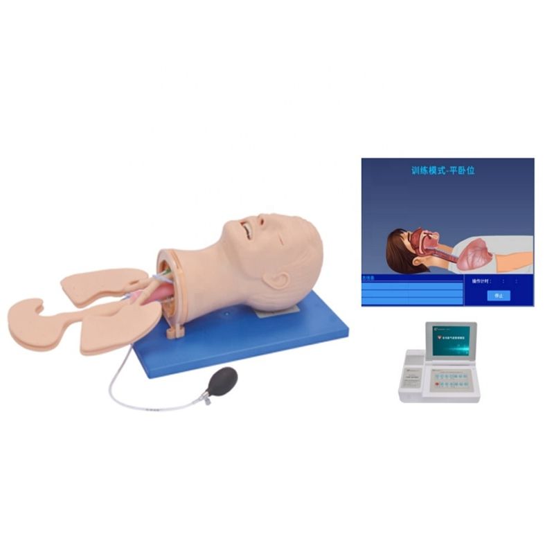 Electronic Multi-purpose Airway Management Training Model for Human Life Size Needs