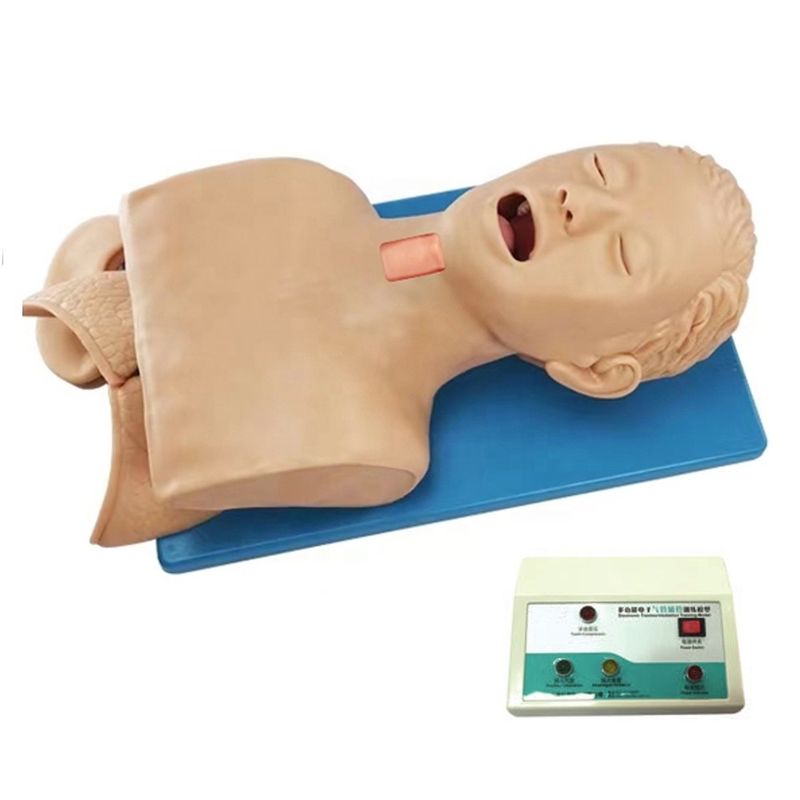 Multi-purpose Human Simulator for Airway Management and Cricoid Puncture in Hospitals