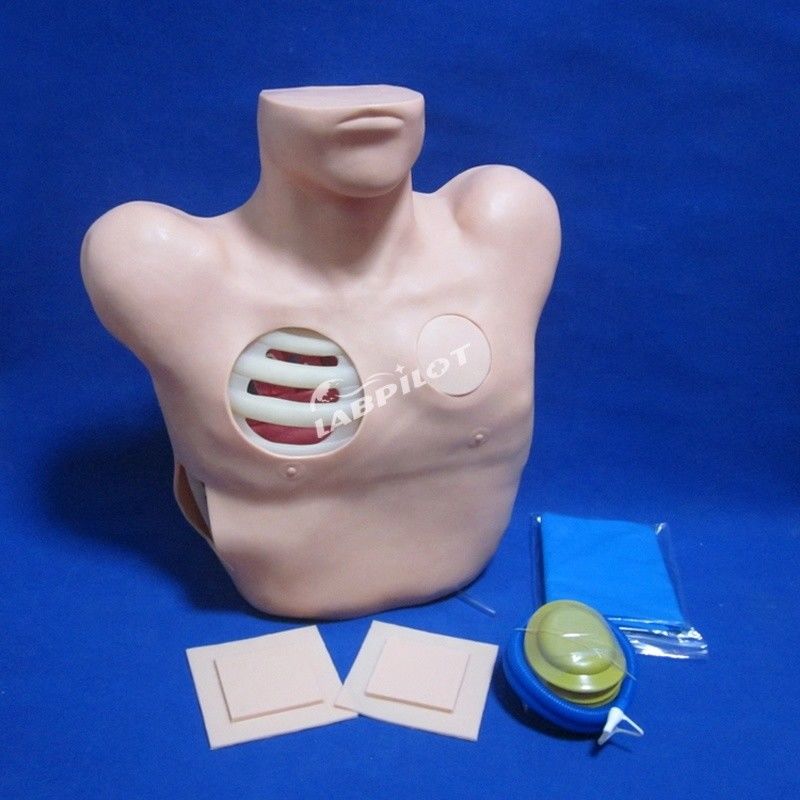 Advanced PVC Manikin for Nursing Training of Pleural Puncture Drainage and Thoracentesis