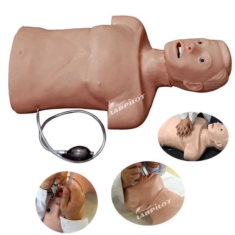 Professional Human Life Size Manikin for Adult Half Body CPR and Intubation Training