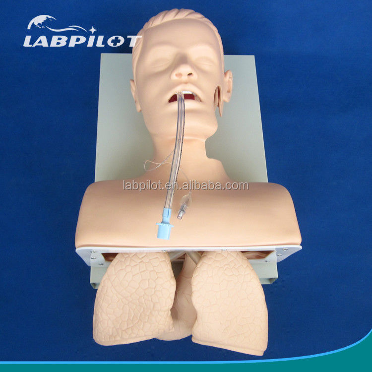 Electronic Tracheal Intubation Training Model with Inflatable Lung NG Tube and Suction Simulator Ideal