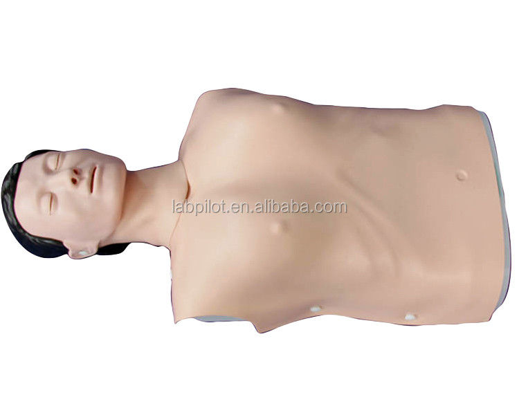 Realistic Human Simulation Emergency Skills Training Manikin Male Half Body CPR Dummy