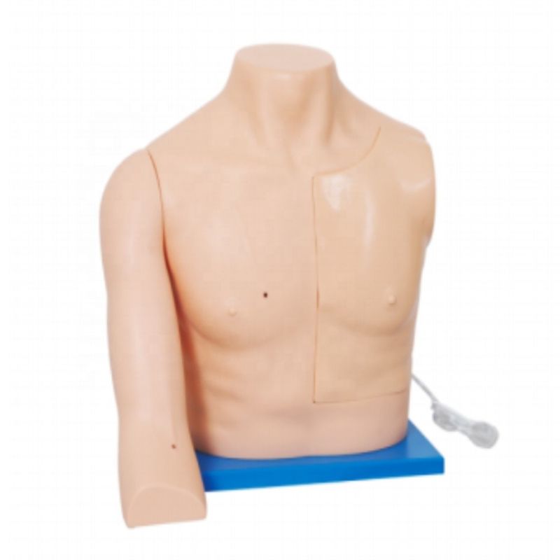 Human Life Size Venous Intervention Training Model for Medical Skills Nursing Teaching