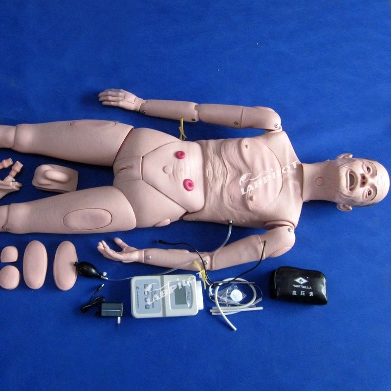 Manikin for Nursing CPR BP Training The Key to Successful Elderly Patient Caregiving