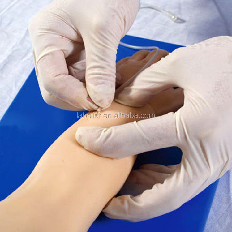Advanced Pediatric Venipuncture Arm for Patients Care Demonstration Human Life Size