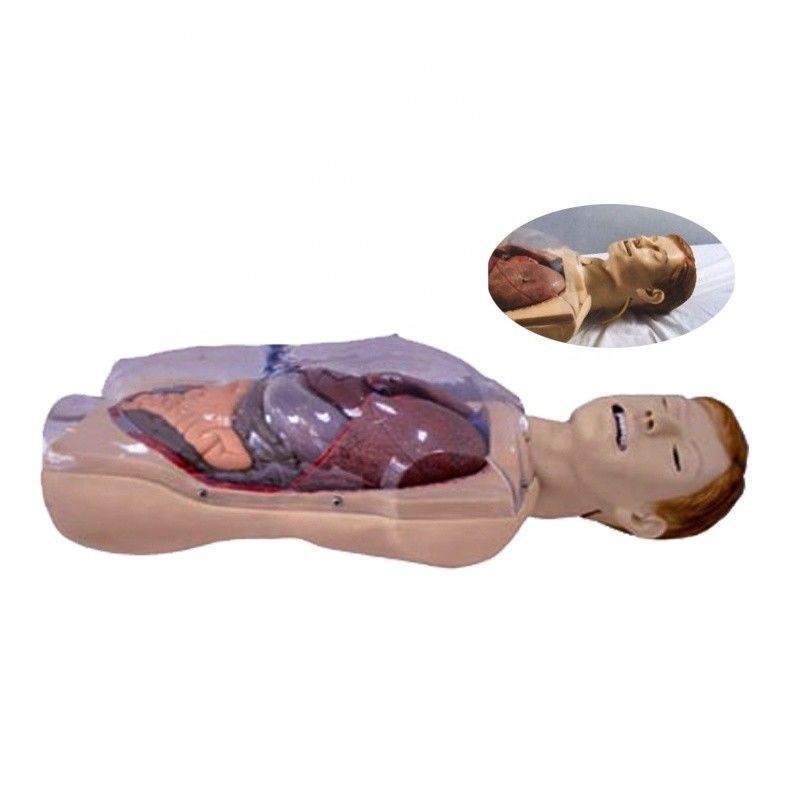 Hospital Clinic College Nurse School Human Life Size Sengstaken-Blakemore NG Tube Nursing Training Simulator