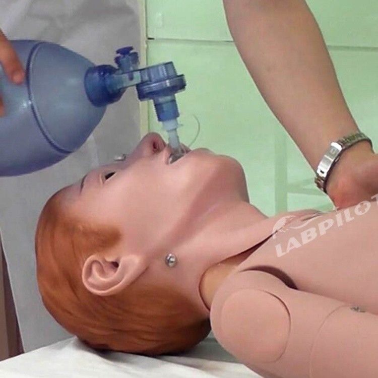 Intelligent First Aid Training Manikin for Human Life Size Clinical Nursing Education