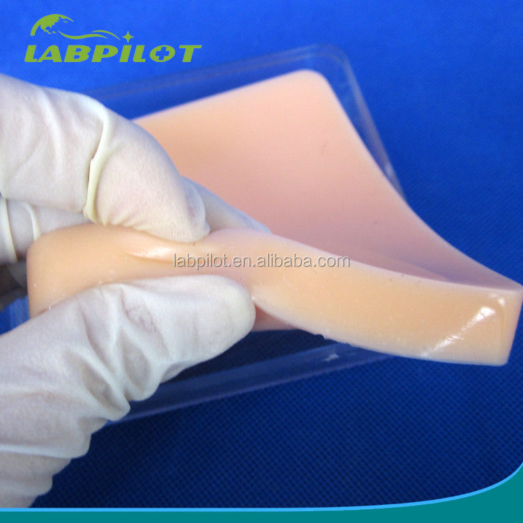 Human Life Size Suturing Training Pad Light Skin Model for Accurate Skill Improvement