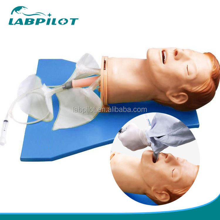 Intubation Training Simulator Comprehensive Airway Model with Human Life Size Manikin