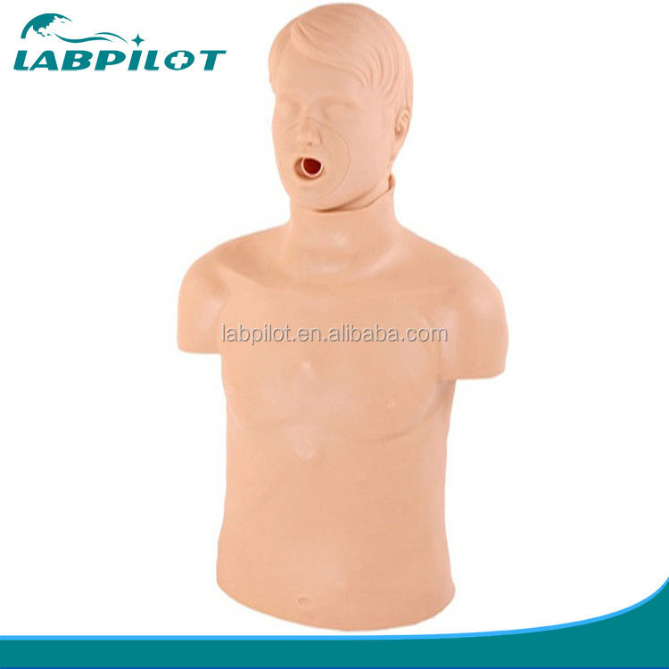Realistic Human Manikin for Basic Emergency Skills Training Half Body CPR Training