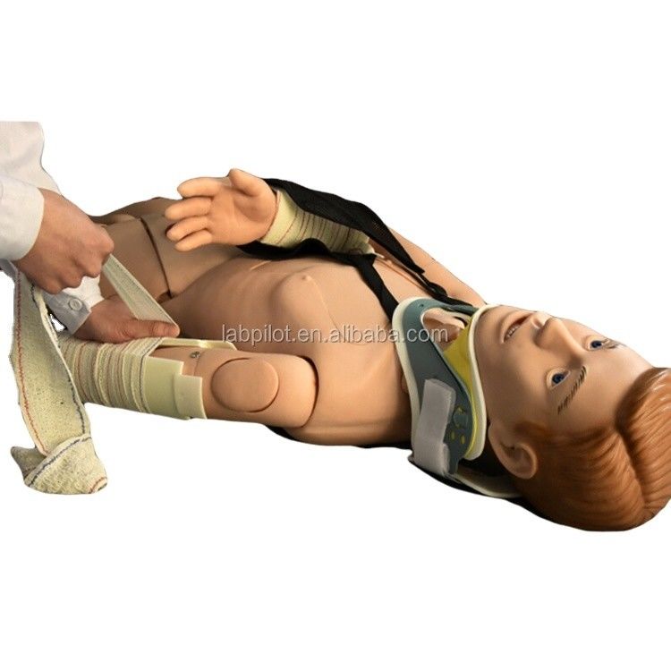 Medical Teaching Manikin for External Fixation Training in First Aid of Limb Fracture