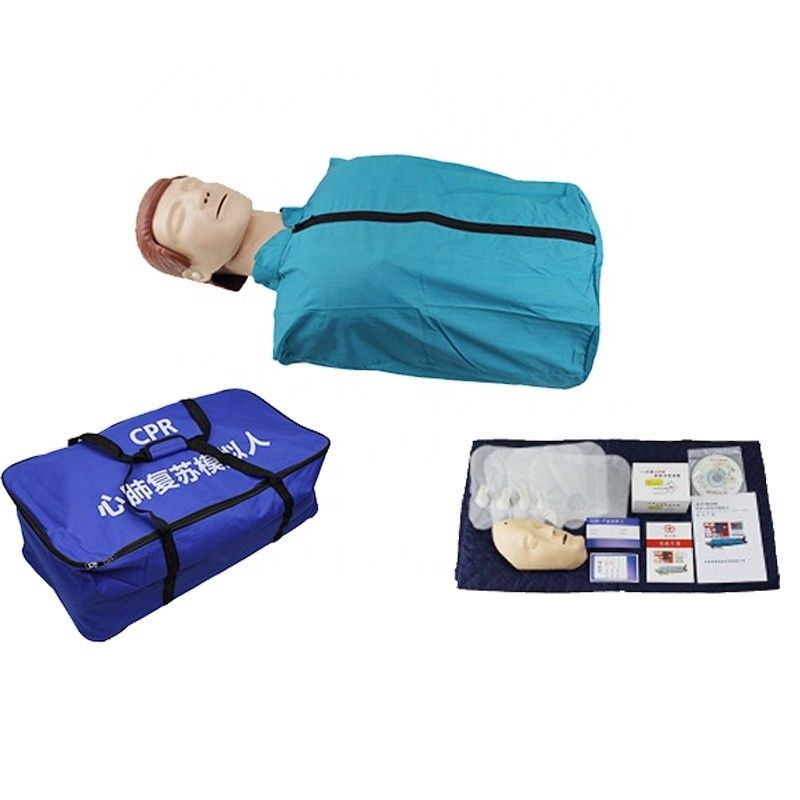 PVC Human Life Size Half Body CPR Training Manikin for Economic CPR Practice