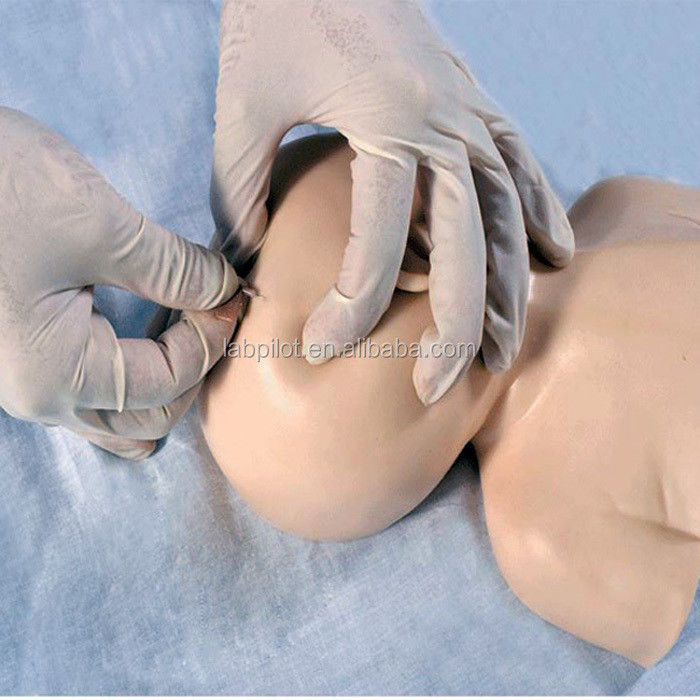 Neonatal Scalp Venipuncture Training Model The Advantage of Human Life Size Design