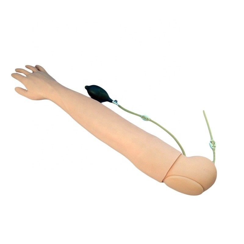 Medical Teaching Simulator Human Life Size Arm for Blood Drawing and Infusion Practice