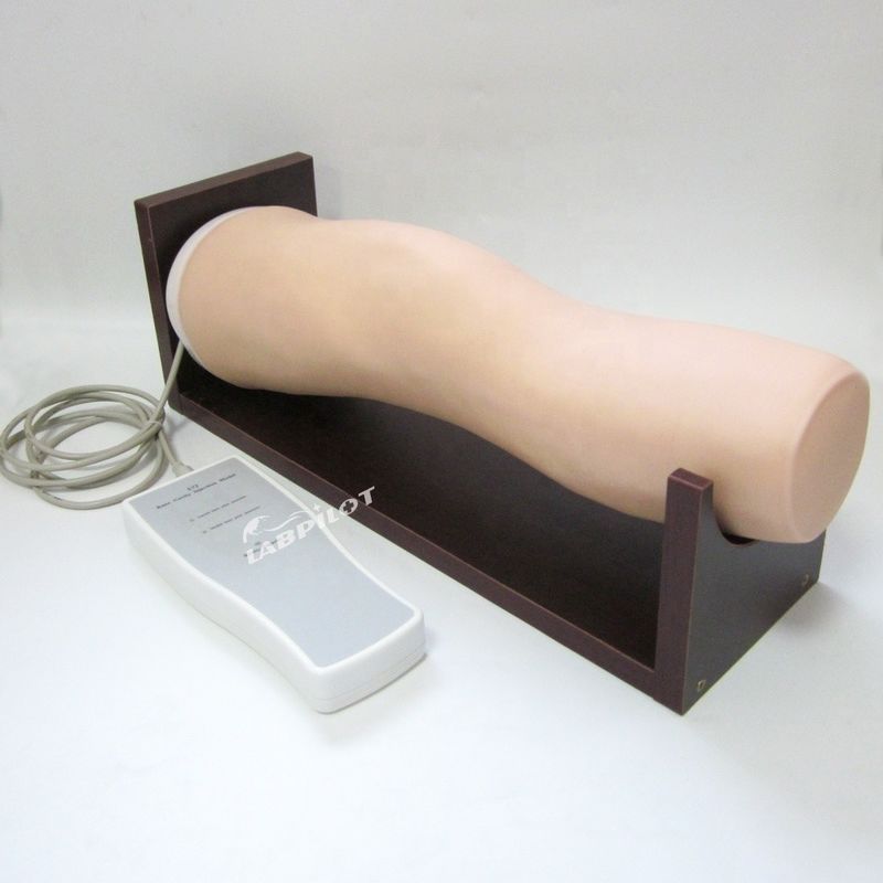 Vivid Electronic Knee Joint Intra-articular Injection Training Model for Clinical Nursing Skills